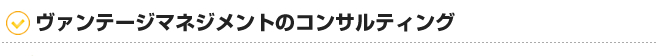 ヴァンテージマネジメントのコンサルティング