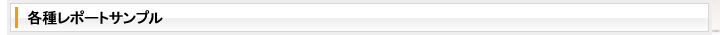 レポートサンプル